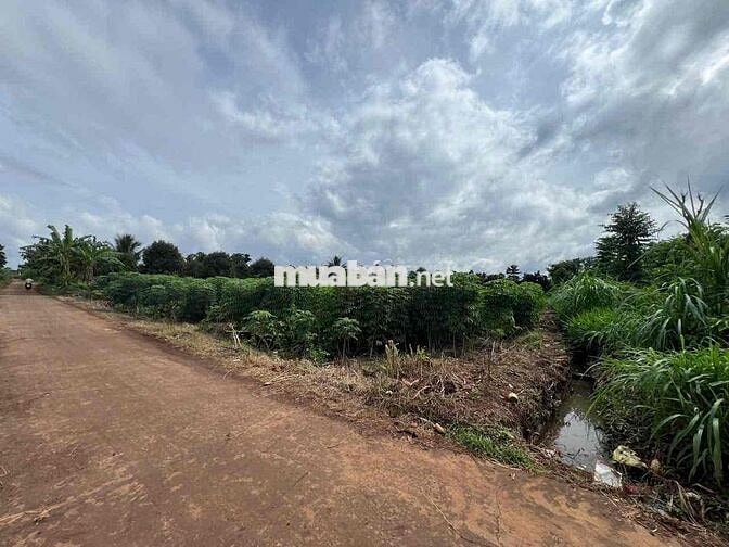 ĐẤT SÀO PHÙ HỢP XÂY DỰNG NHÀ VƯỜN