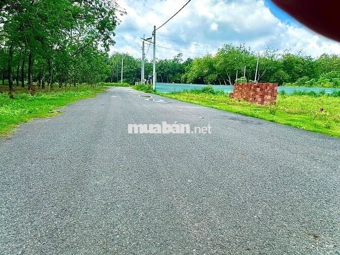 Trả trước 450 triệu sở hữu đất Chánh Phú Hoà - Bến Cát