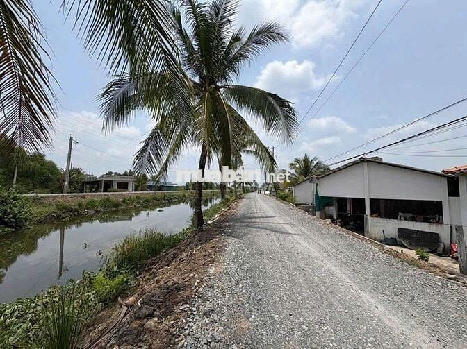 Đất vườn dt 2005,6mv giá 1tỷ 799tr bình đức bến lức Long An.Đường8m