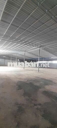 Kho xưởng cho thuê Tân hiệp hóc môn cho làm nghành ô nhiễm