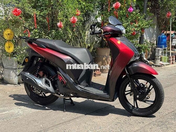 Sh350 Trắng 2025
