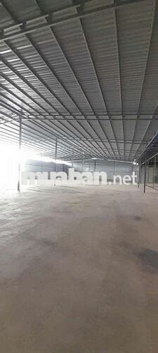 Kho xưởng cho thuê Tân hiệp hóc môn cho làm nghành ô nhiễm