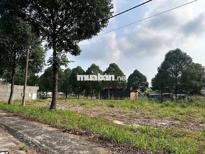 1 tỷ / lô MẶT TIỀN D14 bàu bàng đường nhựa