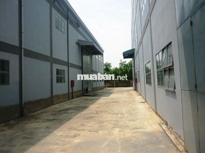 CHO THUÊ KHO, NHÀ XƯỞNG 1200M2 – 6000M2 TẠI ĐIỆN BÀN, QUẢNG NAM