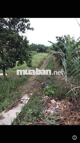 Bán đất mặt tiền Quốc lộ 54 phường Đông Thành