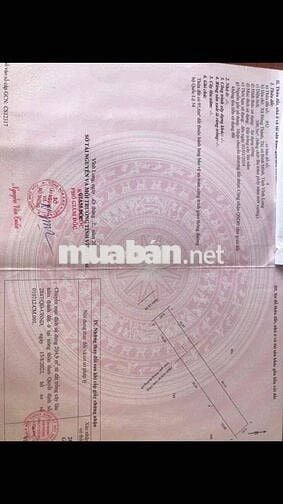 Bán đất mặt tiền Quốc lộ 54 phường Đông Thành