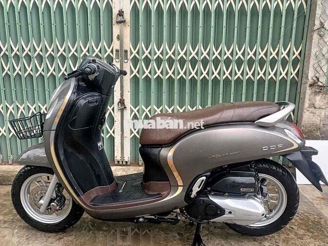 Scoopy