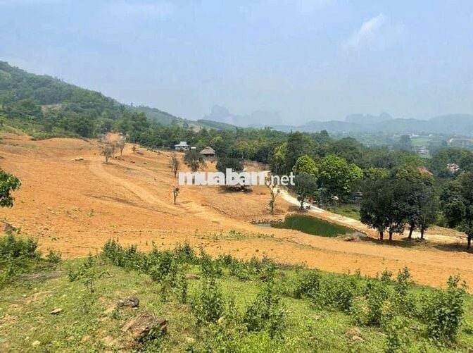 Bán hơn 4ha đất nghỉ dưỡng view đẹp giá rẻ tại Lương Sơn Hòa Bình