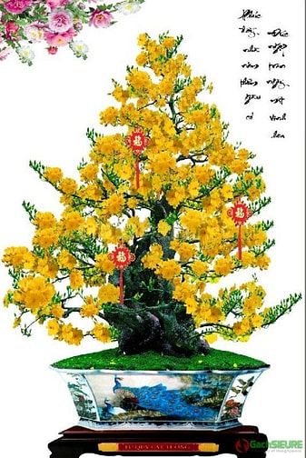 Tranh gạch 3d hoa mai - gạch tranh 3d hoa mai - VC33