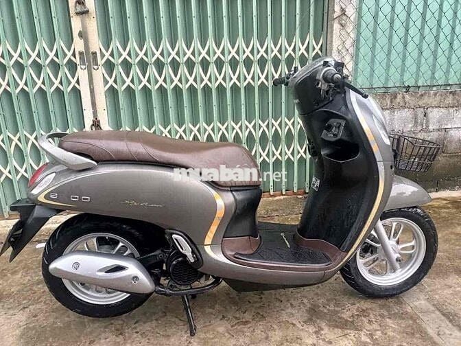 Scoopy
