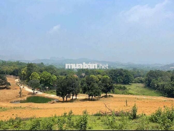 Bán hơn 4ha đất nghỉ dưỡng view đẹp giá rẻ tại Lương Sơn Hòa Bình