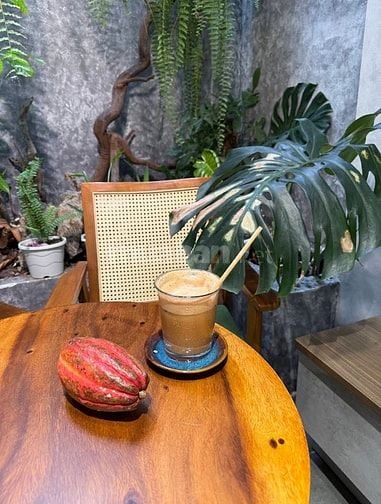 CHOCO cần người bán hàng và phục vụ quận Gò Vấp