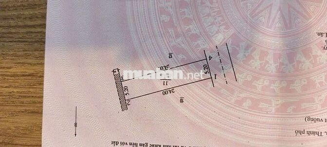 💥 SIÊU HIẾM ĐẸP ĐẤT Đấu giá Đồng Soi - Phú Túc - Phú Xuyên - Hà Nội