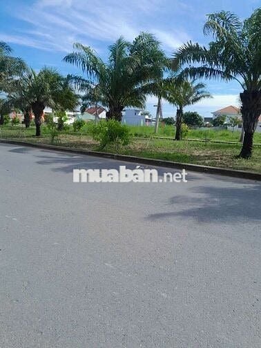 Cặp đất Mặt tiền đường Đại Lộ Long An, gần Ecity Tân Đức