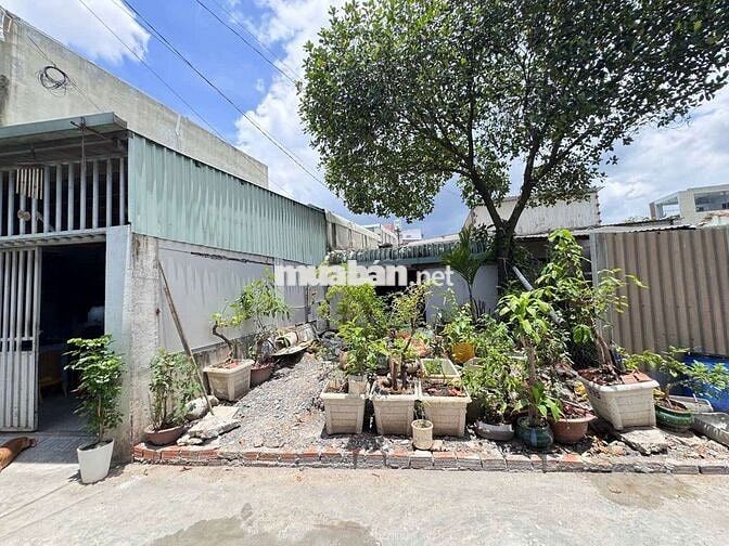 Bán đất tặng nhà tạm kdc gần ngã 3 Cây Điệp p. Tân Đông Hiệp Dĩ An