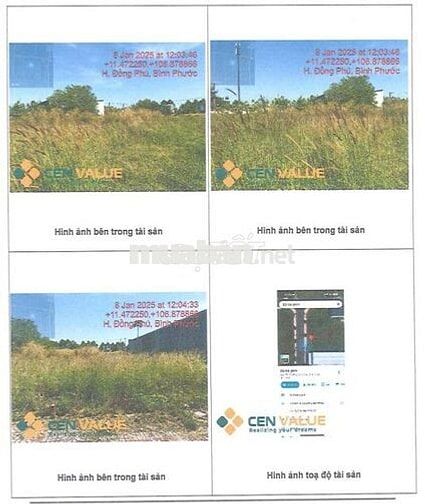 BĐS Khu phố Bàu Ké, Tân Phú, Đồng Phú, Bình Phước (Đồng Phú, Đồng Nai)