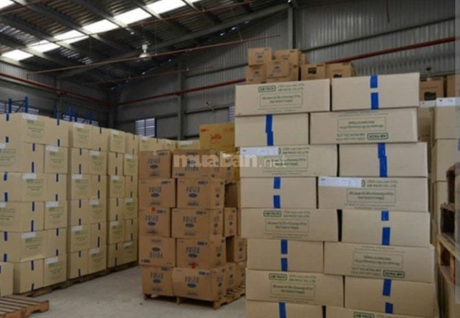CẦN TUYỂN GẤP NHÂN VIÊN TẠI KHU VỰC QUẬN 8 KHÔNG CẦN KINH NGHIỆM 