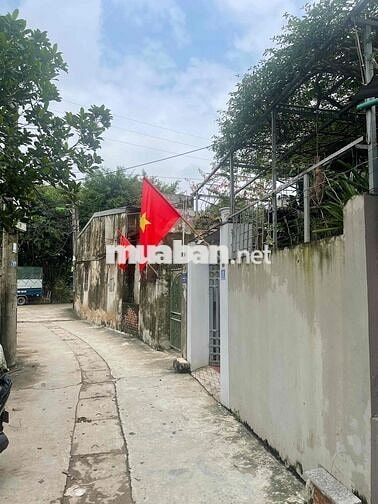 BÁN ĐẤT ĐỒNG MAI, HÀ ĐÔNG  - 131,9M2 Ô TÔ 7 CHỖ VÀO TẬN NHÀ,