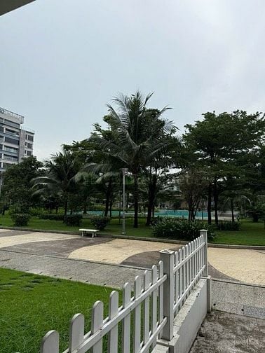 Cho tthuê Shophouse Lakeview Đường Nguyễn cơ Thạch quặn2