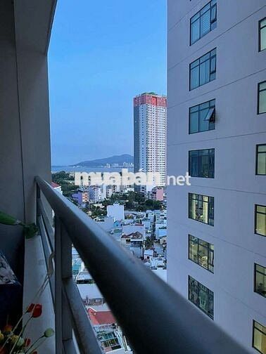 Chung cư Mường Thanh Viễn Triều