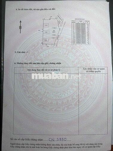 Chính chủ cần bán vài lô đất MT đường nhựa,cách ql50 150m