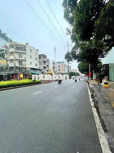 Cho Thuê Nhà Đường Lạc Long Quân, Quận 11 ( KD Tự Do - 110m2 )