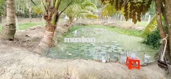 Nhà và đất 8,5x66m mặt đường Hưng Thuận