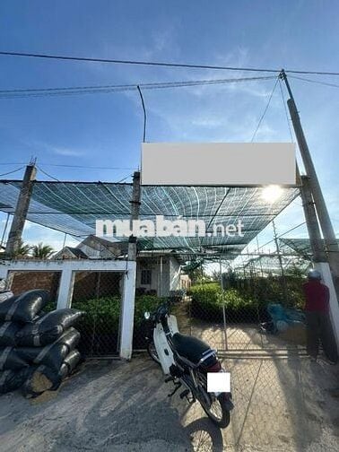 631.9m2 mặt tiền quốc lộ 57 vòng xoay Tân Phú -  Huyện Chợ Lách