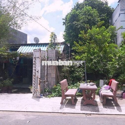 chính chủ cần bán gấp lô đất 62,3m² tại xã Tân Hiệp, Hóc Môn – SHR