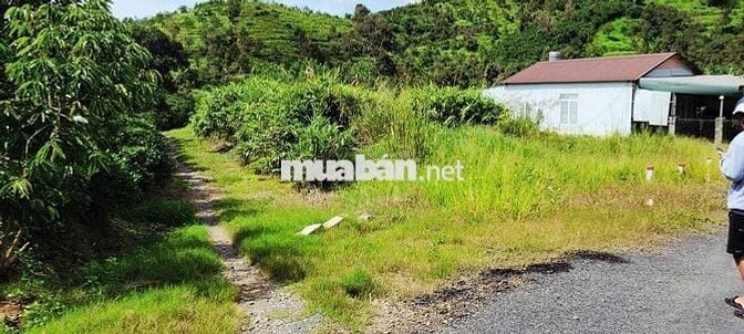 ĐÂT ĐẸP SẴN THỔ CƯ GÓC 2 MẶT TIỀN LỘC THÀNH GIÁ ƯU ĐÃI