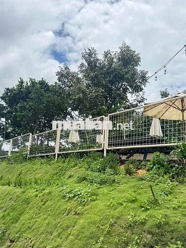 Cần bán gấp đất nền full thổ cư