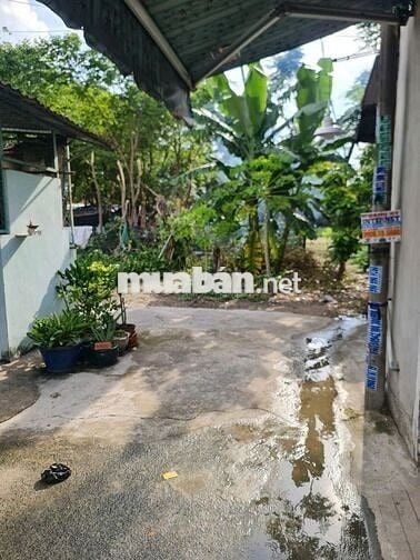 Cho thuê nhà nguyên căn gần chợ Thới Tứ
