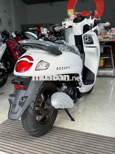 Scoppy 2025 xe mới 100%