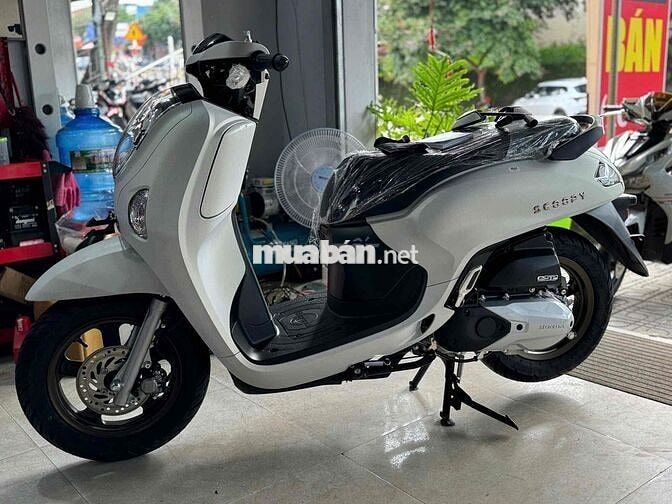 Scoppy 2025 xe mới 100%