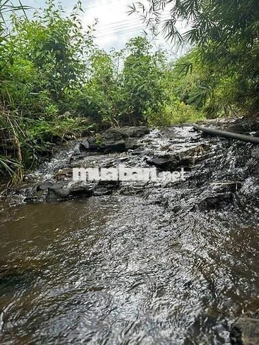 Chính chủ cần sang nhượng gấp đất vườn tại Đồng Nai do chuyển về quê
