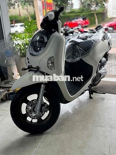 Scoppy 2025 xe mới 100%