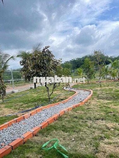 Bán đất thổ cư sổ hồng riêng tại [long hoà ] – giá tốt