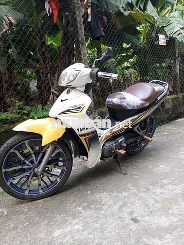 Xe như hình