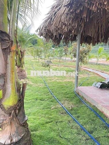 Bán đất thổ cư sổ hồng riêng tại [long hoà ] – giá tốt