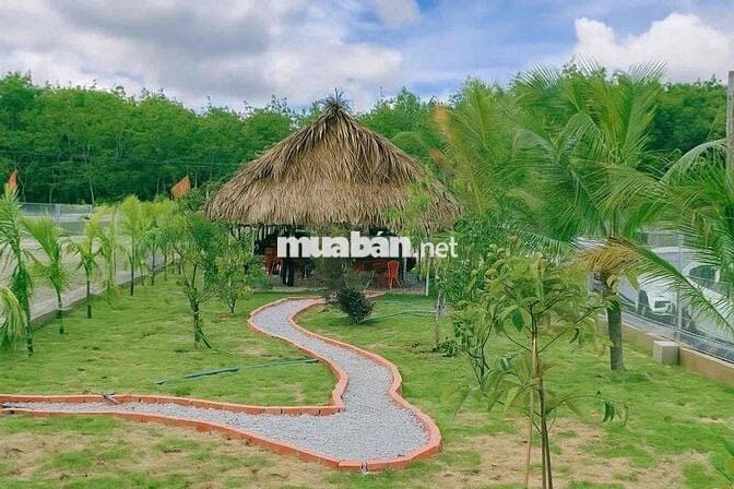 Bán đất thổ cư sổ hồng riêng tại [long hoà ] – giá tốt