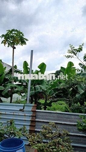 Bán 2 lô đất liền kề - Hẻm 6m - Thạnh Lộc 29 - Ngang 5m - 90m2