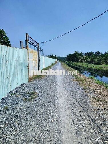 🆘🆘 7000m2 ĐẤT LÚA 3tr5/1m2 ĐƯỜNG XÓM HỐ