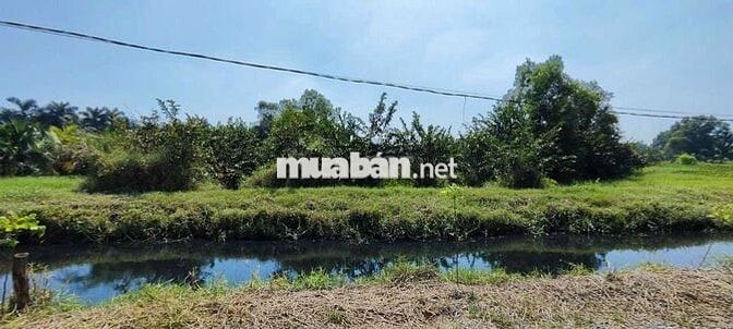 🆘🆘 7000m2 ĐẤT LÚA 3tr5/1m2 ĐƯỜNG XÓM HỐ