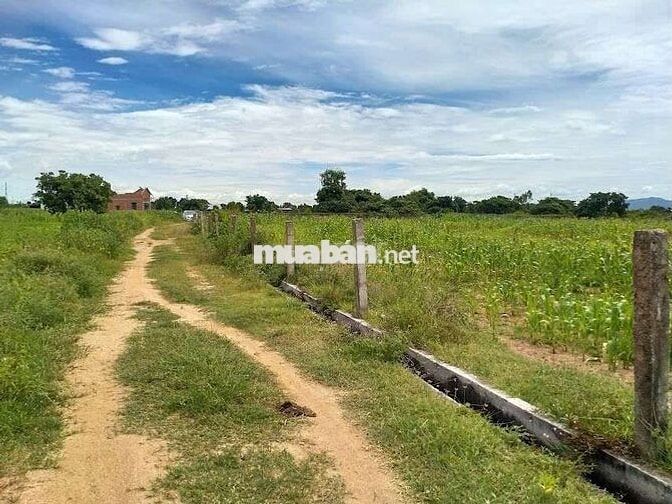 Bán đất đường xe tải quốc lộ 28B vòng xoay cao tốc xuống 1km