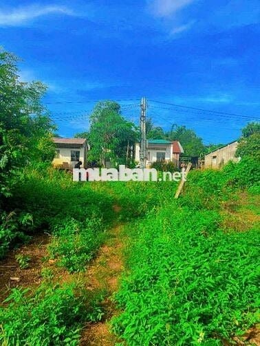 🌿 LÔ ĐẤT 2 MẶT TIỀN TRƯỚC SAU – GIÁ CỰC MỀM CHỈ 1 TỶ 299 🌿