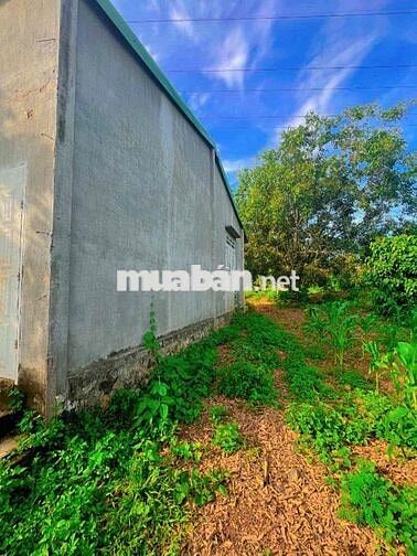 🌿 LÔ ĐẤT 2 MẶT TIỀN TRƯỚC SAU – GIÁ CỰC MỀM CHỈ 1 TỶ 299 🌿