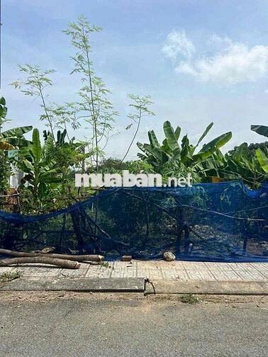 💥NGỘP💥 CHÍNH CHỦ BÁN ĐẤT THỔ CƯ 100M2 800TR SHR TẠI TÂN KIM