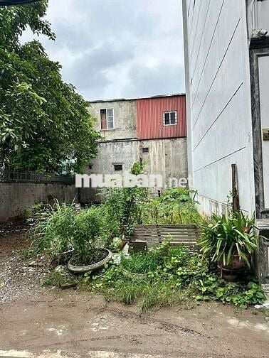 Chính chủ nhờ bán đất phố Đàm Quang Trung - ô tô 7 chỗ vào đất