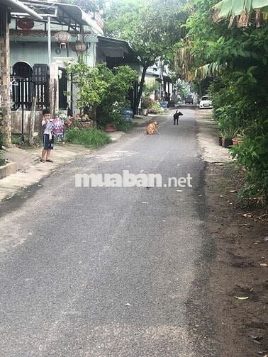 BÁN ĐẤT TẶNG NHÀ CẤP 4, 5X 28M, 2 PHÒNG NGỦ, GÁC LỮNG, GIÁ 650 TRIỆU