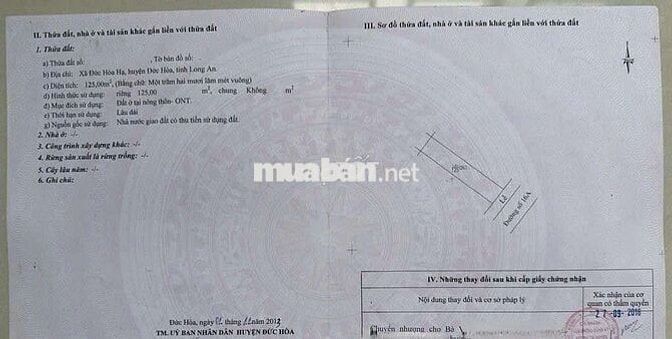 Bán cặp trọ mặt tiền 16A - KDC Tân Đức,DT: 10 x 25 (250m2 Full thổ)